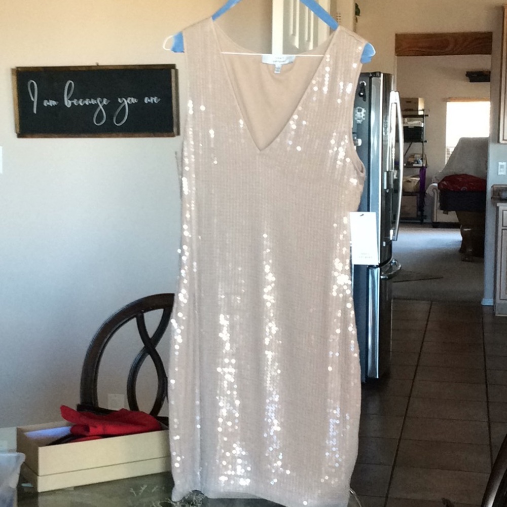 Robert Rodriguez nude sequin dress size Large